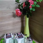 宾馆 Rodinny Karin 俄斯特拉发