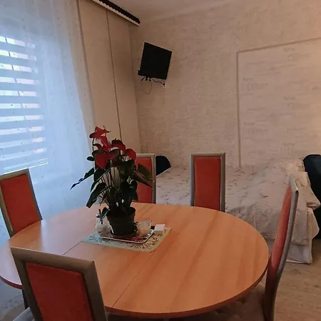 宾馆 Rodinny Karin 俄斯特拉发