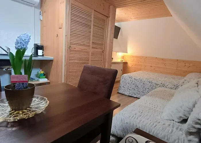 Rodinny Karin 俄斯特拉发