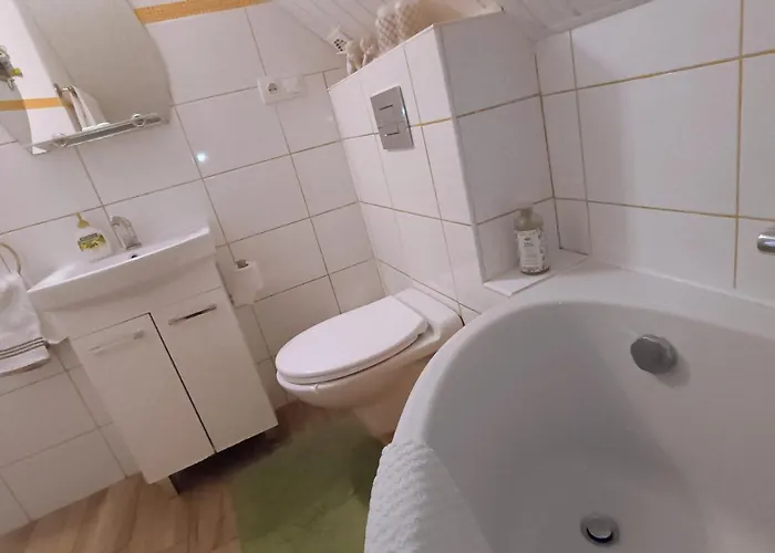 宾馆 Rodinny Karin *