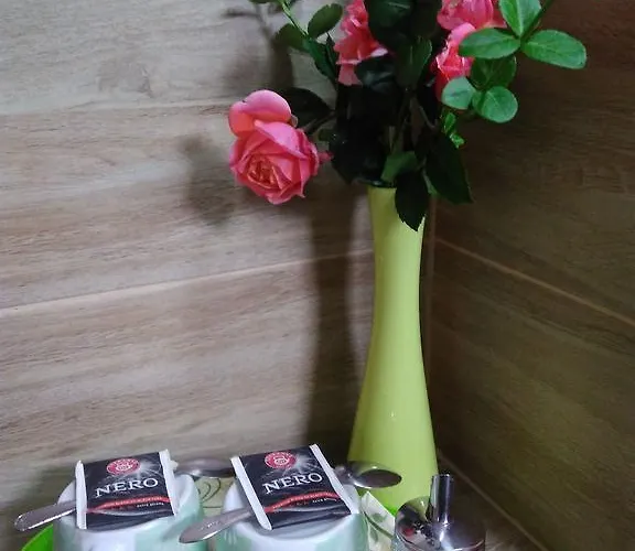 宾馆 Rodinny Karin 俄斯特拉发